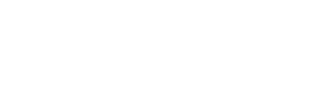 speetech